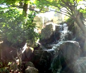 Japanese Friendship Garden San Jose 17.JPG